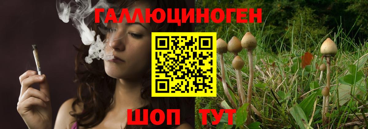 Карачаевск  Псилоцибиновые грибы мицелий  Вход с VPN 