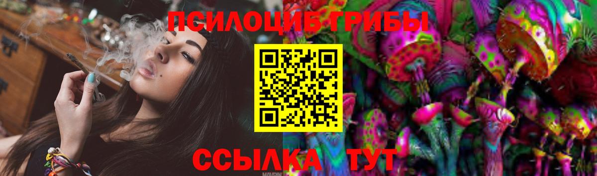 Псилоцибиновые грибы Psilocybine cubensis Карачаевск